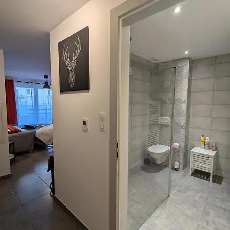 Cocooning Au Coeur Des Hautes-vosges Avec Terrasse Et Parking Prive - Fr-1-589-841 *